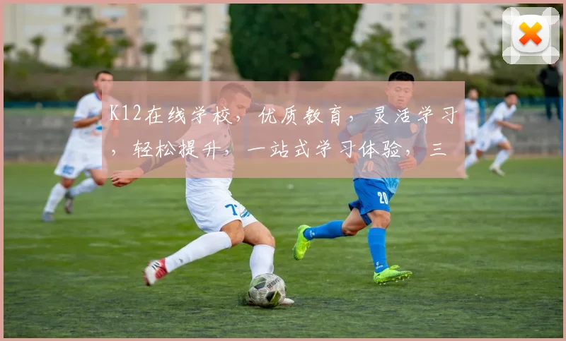 K12在线学校，优质教育，灵活学习，轻松提升，一站式学习体验，三重保障，值得信赖