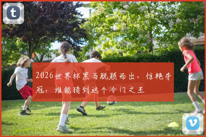 2026世界杯黑马脱颖而出，惊艳夺冠，谁能猜到这个冷门之王