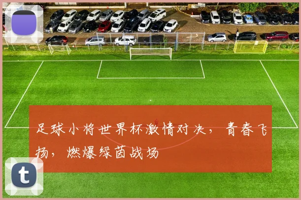 足球小将世界杯激情对决，青春飞扬，燃爆绿茵战场