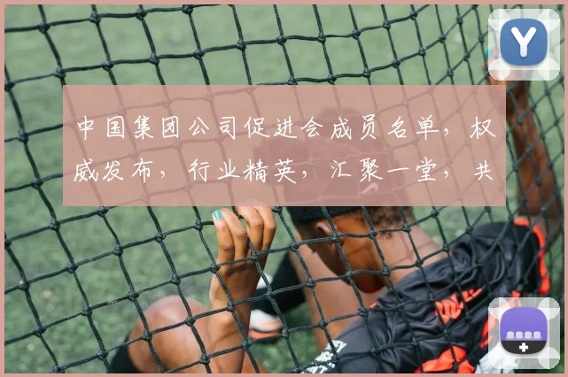 中国集团公司促进会成员名单，权威发布，行业精英，汇聚一堂，共谋发展